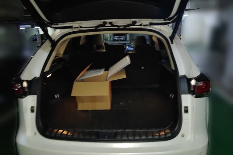 Used Lexus NX 2016 200 Special Limited Edition Trunk