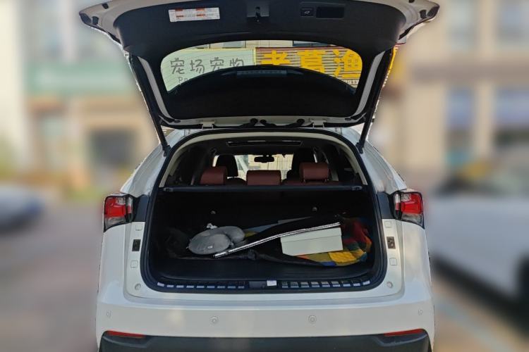Used Lexus NX 2016 200 All-Wheel Drive FENGSHANG Version Trunk
