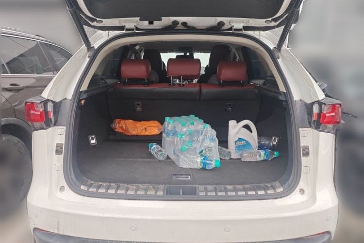 Used Lexus NX 2016 200 Special Limited Edition Trunk