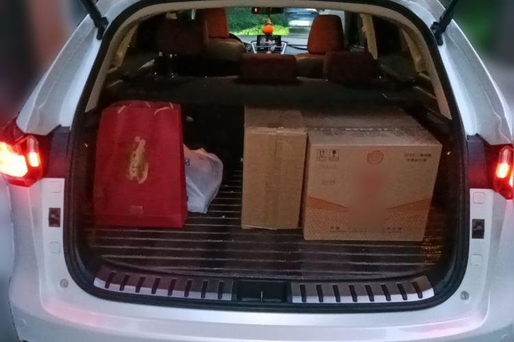 Used Lexus NX 2016 200 Special Limited Edition Trunk
