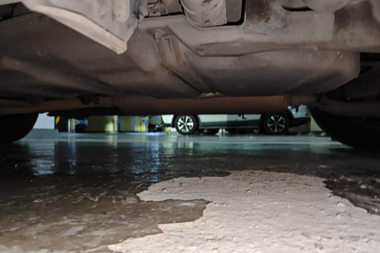 Used Lexus NX 2017 300h Front-Drive FENGSHANG Edition Chassis Rear Left