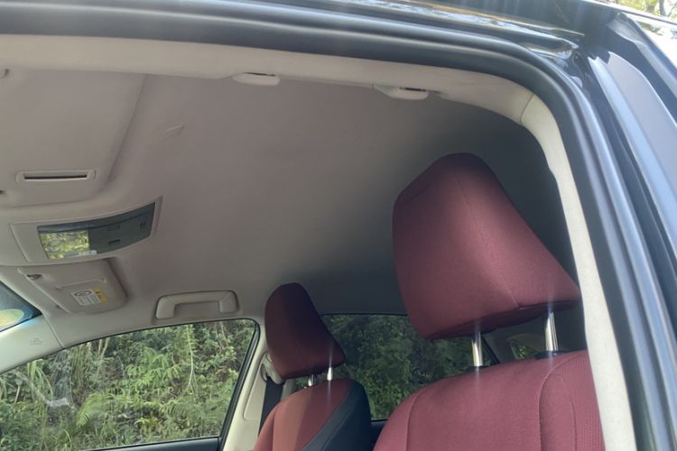 Used Lexus NX 2017 200 Front-Wheel-Drive X-Trail SE Edition Headliner