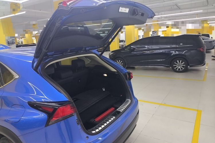 Used Lexus NX 2017 300 Front-Wheel-Drive Limited Edition Trunk