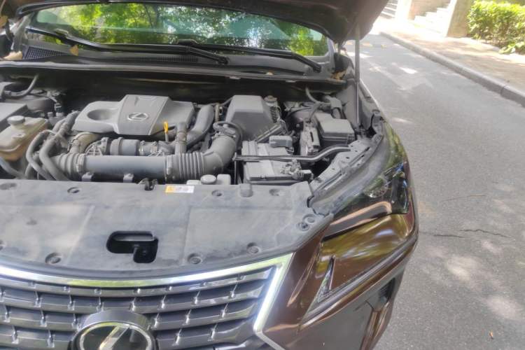 Used Lexus NX 2017 300 Front-Wheel-Drive Limited Edition Engine Bay Left