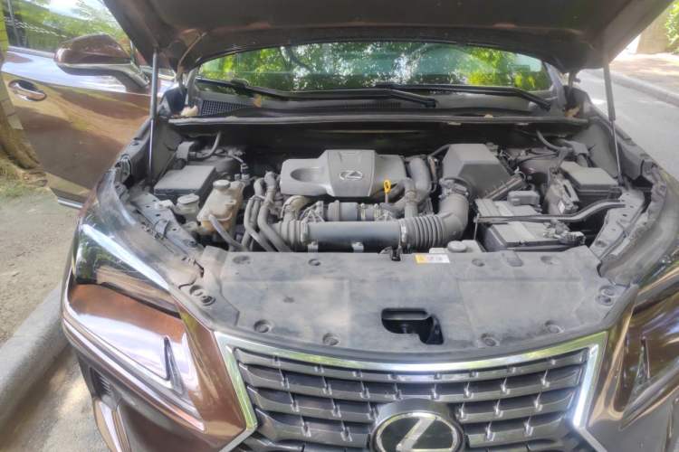Used Lexus NX 2017 300 Front-Wheel-Drive Limited Edition Engine Bay Right
