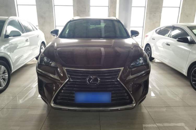 Used Lexus NX 2017 200 All-Wheel Drive Fēngshàng Edition Exterior 1
