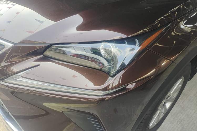 Used Lexus NX 2017 200 Front-Wheel-Drive X-Trail SE Edition Left Front Headlight