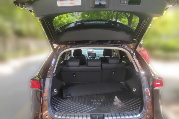 Used Lexus NX 2017 300 Front-Wheel-Drive Limited Edition Trunk
