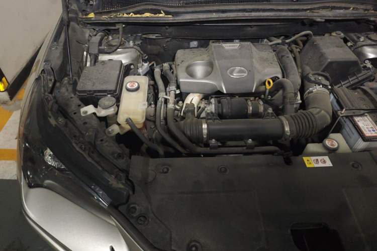 Used Lexus NX 2017 300 Front-Wheel-Drive Limited Edition Engine Bay Right