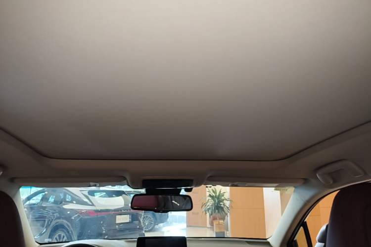Used Lexus NX 2017 300h All-Wheel Drive Fongzhi Edition Headliner