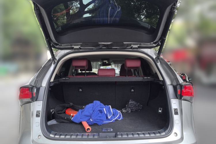 Used Lexus NX 2017 300 Front-Wheel-Drive Limited Edition Trunk