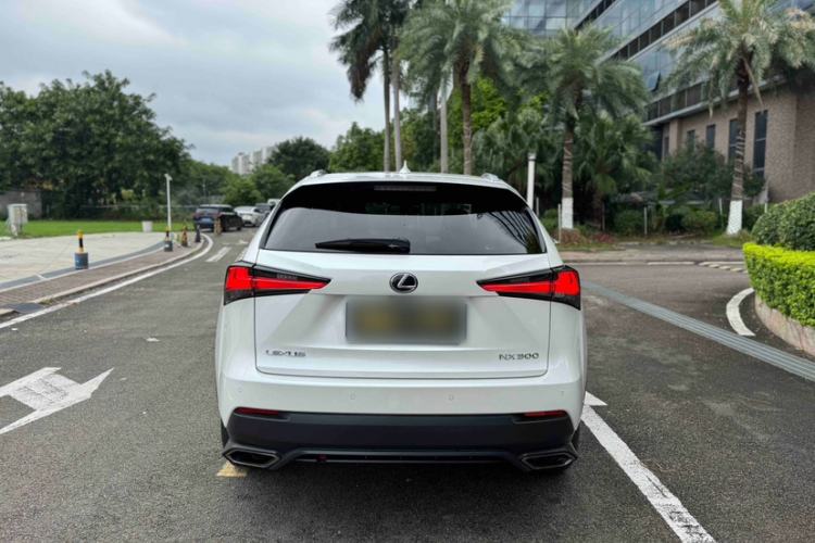Used Lexus NX 2017 300 All-Wheel Drive Fēngshàng Edition Exterior 10