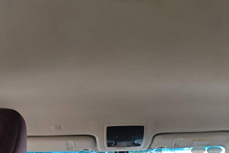 Used Lexus NX 2017 300 Front-Wheel-Drive Limited Edition Headliner