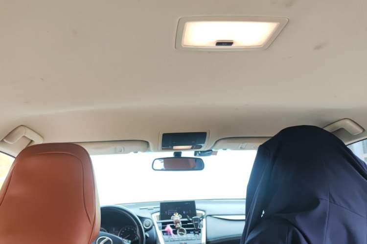Used Lexus NX 2017 200 Front-Wheel-Drive X-Trail SE Edition Headliner