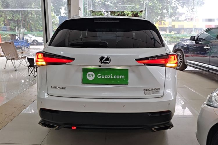 Used Lexus NX 2017 300 Front-Wheel-Drive Limited Edition Rear
