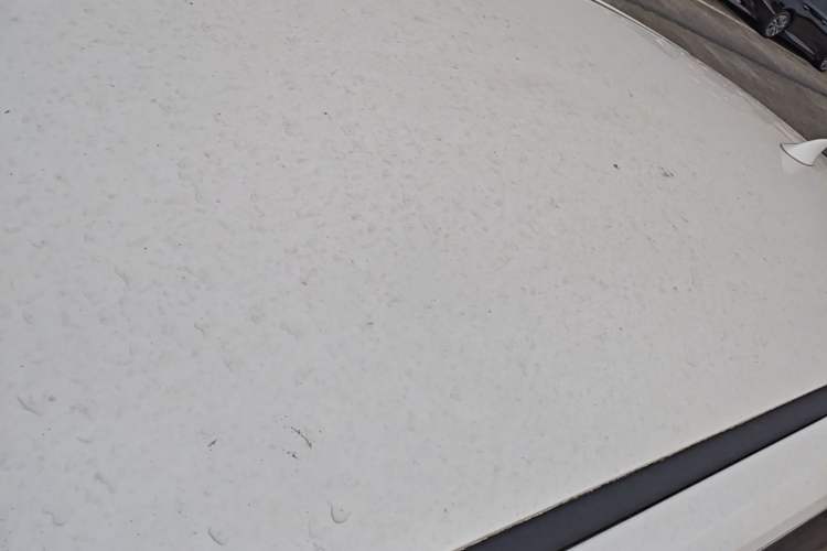 Used Lexus NX 2017 200 Front-Wheel-Drive X-Trail SE Edition Roof