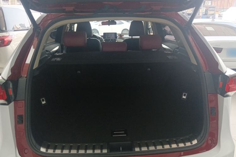 Used Lexus NX 2017 300 Front-Wheel-Drive Limited Edition Trunk