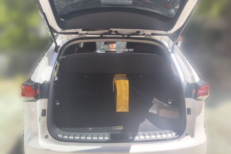 Used Lexus NX 2017 200 Front-Wheel-Drive X-Trail SE Edition Trunk