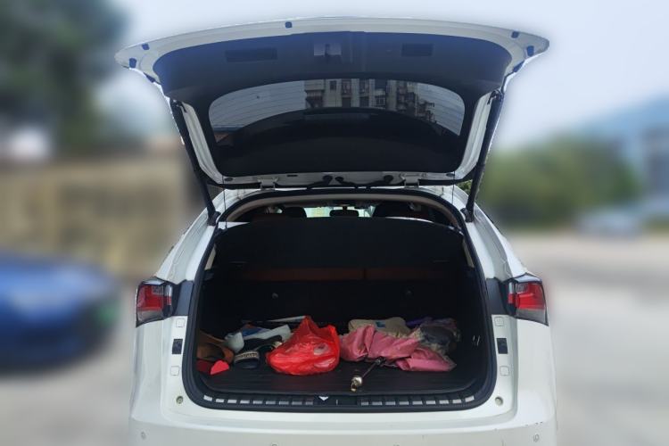Used Lexus NX 2017 200 Front-Wheel-Drive X-Trail SE Edition Trunk