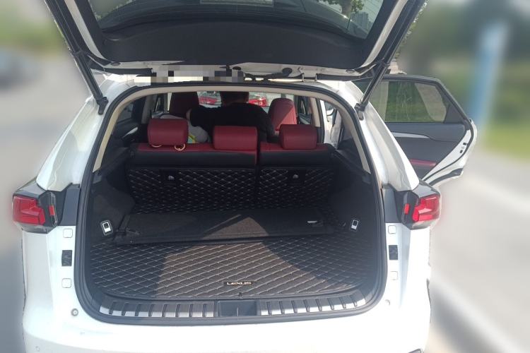 Used Lexus NX 2017 300 Front-Wheel-Drive Limited Edition Trunk