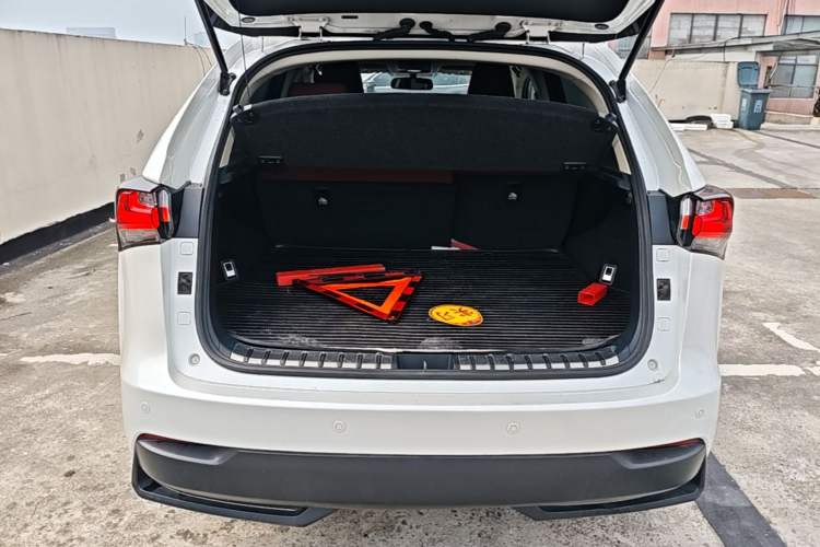 Used Lexus NX 2017 200 Front-Wheel-Drive X-Trail SE Edition Trunk