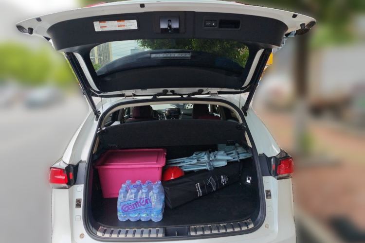 Used Lexus NX 2017 300h Front-Drive FENGSHANG Edition Trunk