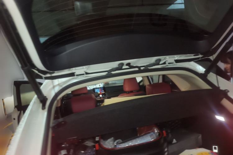 Used Lexus NX 2017 300h Front-Drive FENGSHANG Edition Trunk