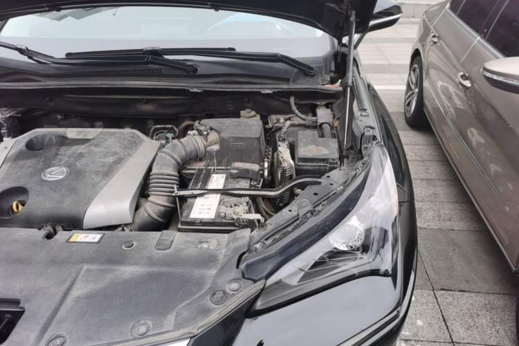 Used Lexus NX 2018 200 Front-Wheel-Drive X-Trail Version China V Standard Engine Bay Left