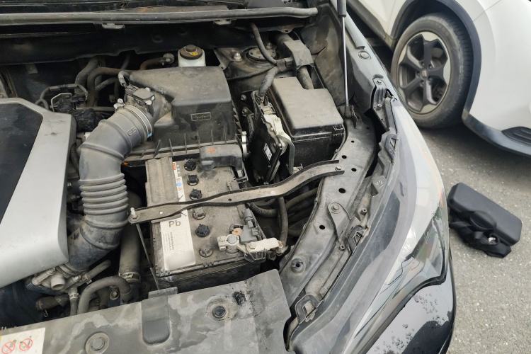 Used Lexus NX 2018 200 Front-Wheel-Drive X-Trail Version China V Standard Engine Bay Left