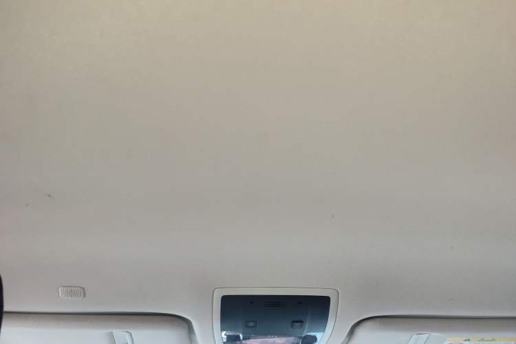 Used Lexus NX 2018 200 Front-Wheel-Drive X-Trail Version China V Standard Headliner