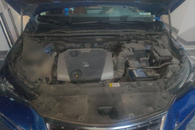 Used Lexus NX 2018 200 Front-Wheel-Drive X-Trail Version China V Standard Engine Bay