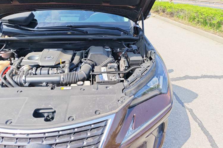 Used Lexus NX 2018 300 Front-Drive Freeline Edition Engine Bay Left