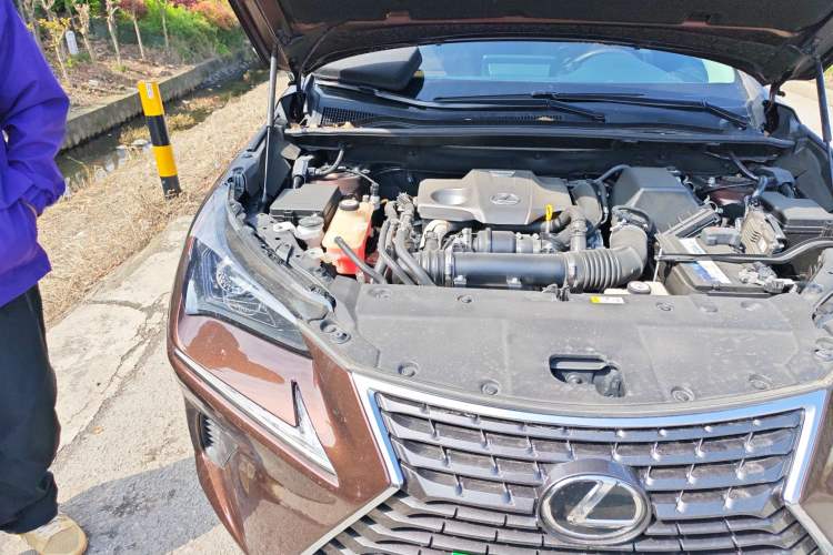 Used Lexus NX 2018 300 Front-Drive Freeline Edition Engine Bay Right