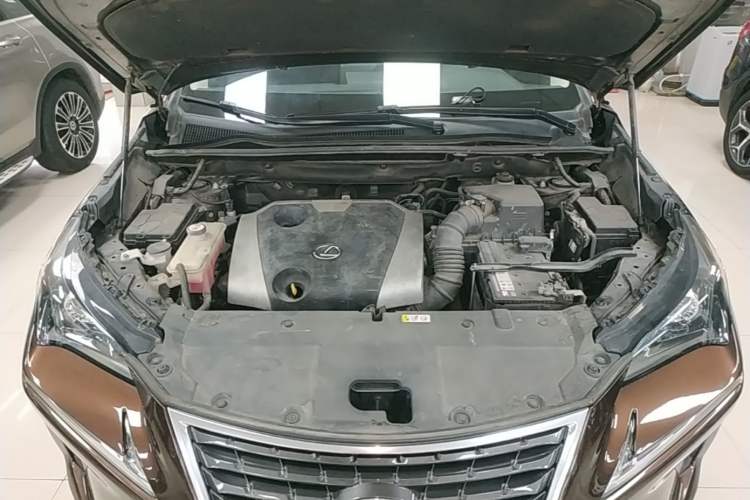 Used Lexus NX 2018 200 Front-Wheel-Drive Xingxing Edition China VI Standard Engine Bay
