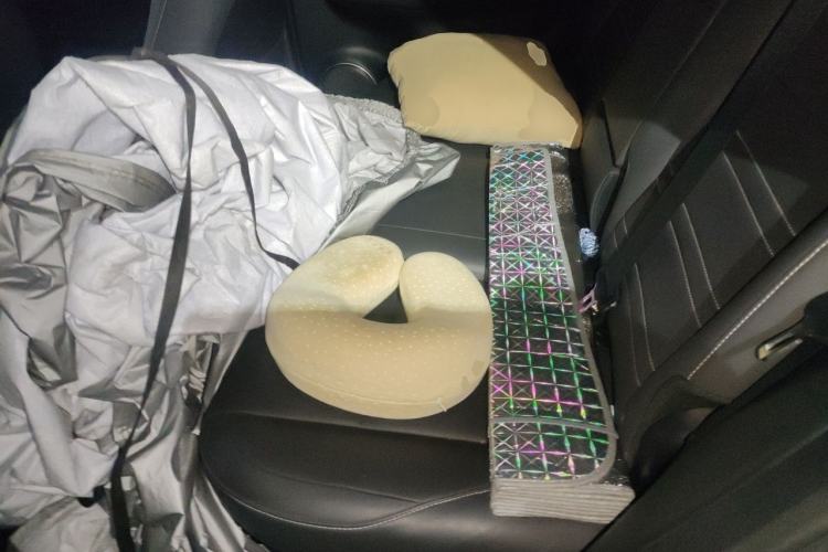 Used Lexus NX 2018 300 Front-Drive Freeline Edition Left Rear Seat