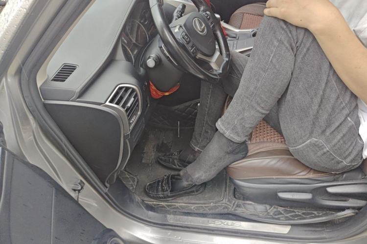 Used Lexus NX 2018 200 Front-Wheel-Drive X-Trail Version China V Standard Driver Seat