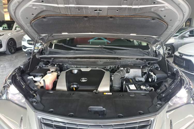 Used Lexus NX 2018 200 Front-Wheel-Drive Xingxing Edition China VI Standard Engine Bay