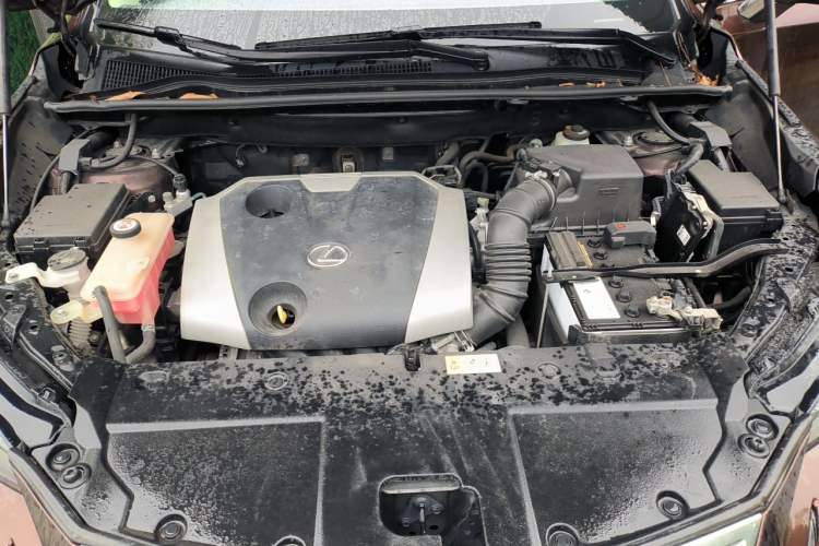 Used Lexus NX 2018 200 Front-Wheel-Drive Xingxing Edition China VI Standard Engine Bay