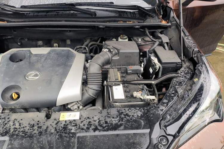 Used Lexus NX 2018 200 Front-Wheel-Drive Xingxing Edition China VI Standard Engine Bay Left