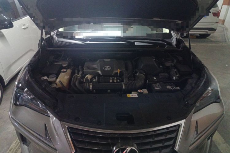 Used Lexus NX 2018 300 Front-Drive Freeline Edition Engine Bay