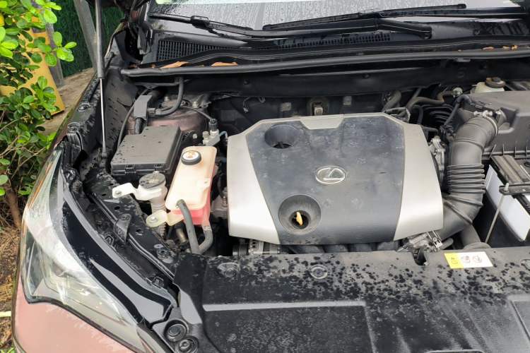 Used Lexus NX 2018 200 Front-Wheel-Drive Xingxing Edition China VI Standard Engine Bay Right