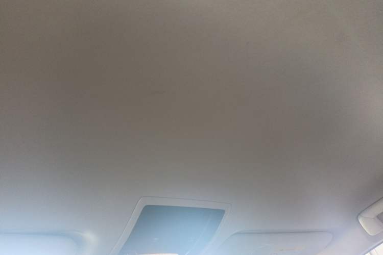 Used Lexus NX 2018 200 Front-Wheel-Drive Xingxing Edition China VI Standard Headliner
