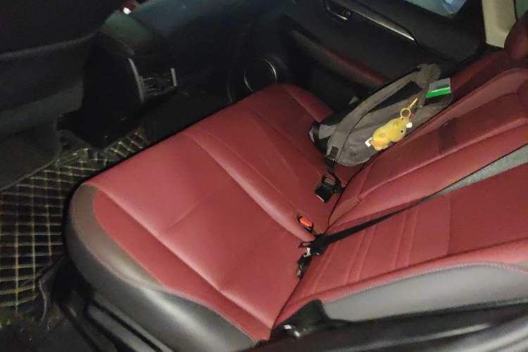 Used Lexus NX 2018 300 Front-Drive Freeline Edition Left Rear Seat