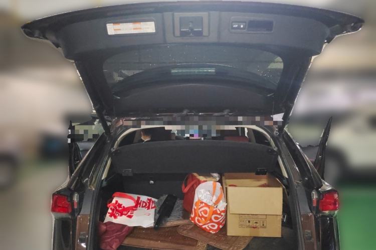 Used Lexus NX 2018 300 Front-Drive Freeline Edition Trunk