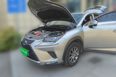 Used Lexus NX 2018 200 Front-Wheel-Drive X-Trail Version China V Standard