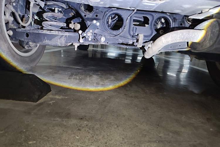 Used Lexus NX 2018 200 Front-Wheel-Drive Xingxing Edition China VI Standard Chassis Rear