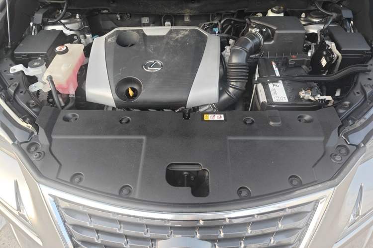 Used Lexus NX 2018 200 Front-Wheel-Drive Xingxing Edition China VI Standard Engine Bay