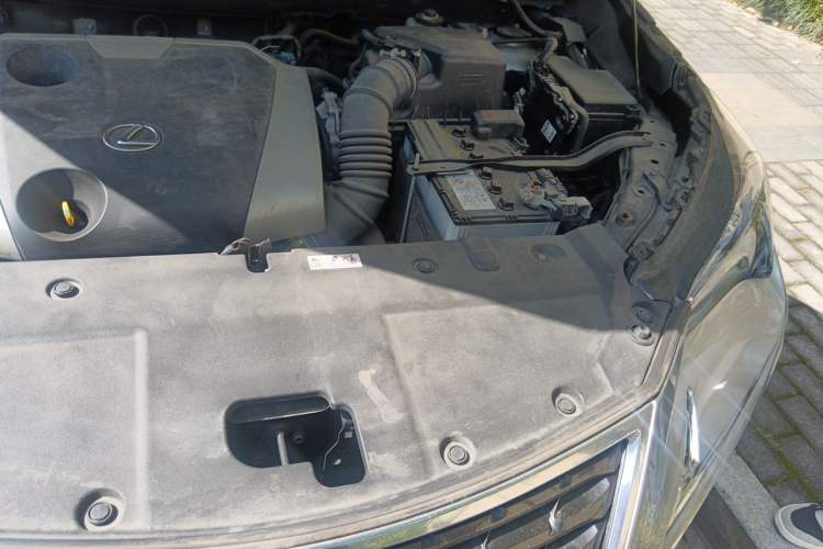 Used Lexus NX 2018 200 Front-Wheel-Drive X-Trail Version China V Standard Engine Bay Left
