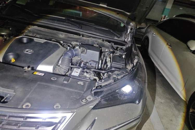 Used Lexus NX 2018 200 Front-Wheel-Drive X-Trail Version China V Standard Engine Bay Left