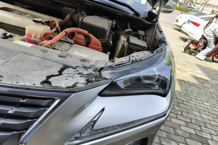 Used Lexus NX 2018 300h Front-Drive FENGSHANG Version China VI Standard Engine Bay Left